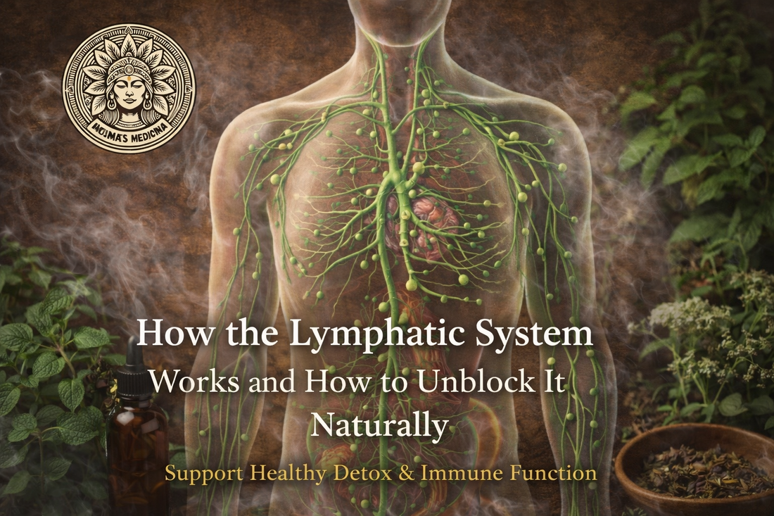 How the Lymphatic System Works and How to Unblock It Naturally